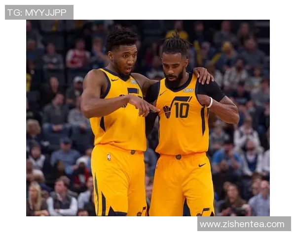 迈克康利的篮球传奇之路与职业生涯的辉煌成就分析